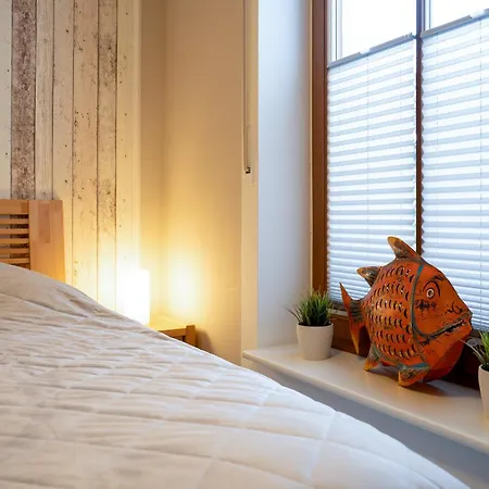 Solymar * 佩尔泽哈肯