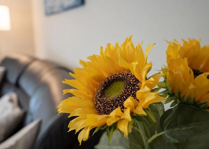 Solymar * Pelzerhaken